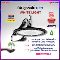 ไฟปลูกต้นไม้ ไฟปลูกพืชในร่ม มอนเตอร่า  แคคตัส  ไม้ด่าง solar led Indoor ufo Grow Light Full Spectrum 200W แสงขาว ไฟปลูกพืช พร้อมส่งจากไทย