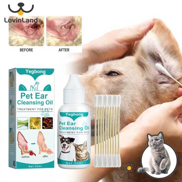 Pet Special Dog Ear Mite Pet Ear Canal Cat Ear Mite Oil Ear Mite 