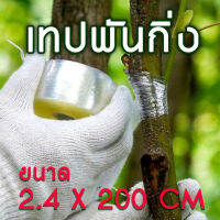 เทปพันกิ่ง สีใส ขนาด 2.4 MMX200 M