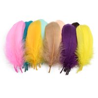 20Pcs/Lot Colorful Feathers Decoration Handicraft Accessories Catcher Feather Fly Tying Materials Plumes