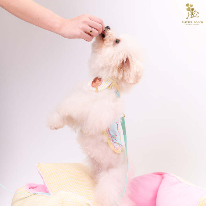 glitter-pooch-harness-ชุดรัดอก-สายจูง-เสื้อผ้า-สุนัข-หมา-แมว-สัตว์เลี้ยง-พร้อม-สายจูง-รุ่น-lolly-fairyland-in-mint-candy