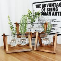 Frame Glass Vase Tabletop Terrarium Hydroponics Plant Vases Bonsai Transparent Flower Pot with Wooden Tray Home Decoration