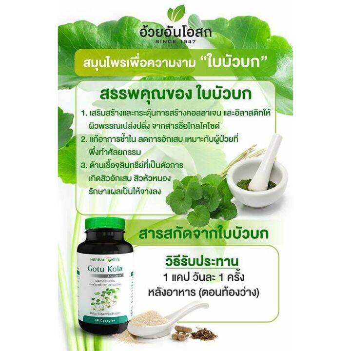 herbal-one-gotu-kola-leaf-extract-ผลิตภัณฑ์เสริมอาหาร-สารสกัดจากใบบัวบก-60-แคปซูล-y2806