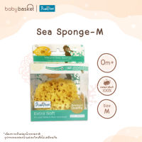 ฟองน้ำอาบน้ำแบบธรรมชาติสำหรับเด็ก Punapena Sea Sponge Honeycomb Honeycomb - M จาก Punapena