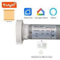 Tuya GM25TEQ 1.1N+Brackets,Smart wifi Rolling Tubular Motor,Rf433 Remote,Voice Control by Alexa/Google Home,for Dia 38mm Tube