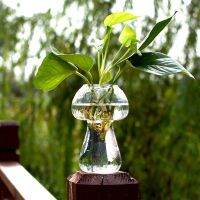 1PC Cute Mushroom Shaped Glass Flower Holder Garden Deocr Beautiful Transparent Hydroponic Plant Vase Modern Style Ornaments