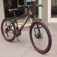 3 wheel custom bicycles