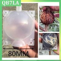 8cm Garden Fruit Tree Plant Rooting Ball Root Growing Boxes Case Grafting Rooter Grow Box Breeding Garden Tools Supplies QB7LA