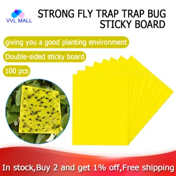 20Pcs Sticky Fly Trap Paper Yellow Traps Fruit Flies Insect Glue Catcher USA