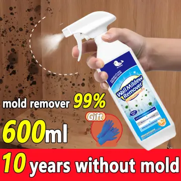 Buy Anti Mold Spray online