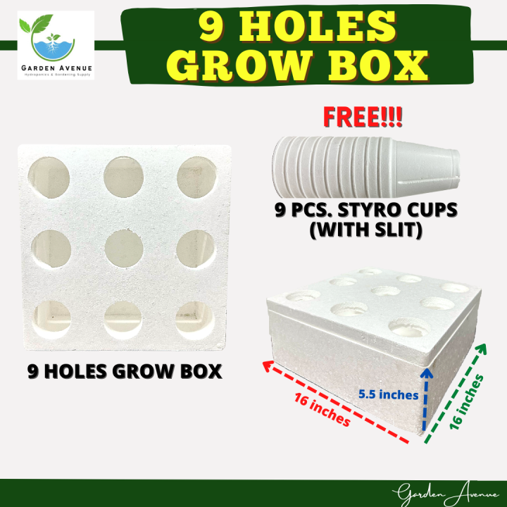 HYDROPONICS 9 HOLES GROW BOX/STYRO BOX - WITH 9 PCS. STYRO CUPS (WITH ...