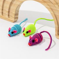 Pet Cat Toys Color Winding Mouse Cat Toy for Pet Supplies Cat Interactive Toy Chew Toy Pet Accessories Cat Tooth Cleaning Tool Toys