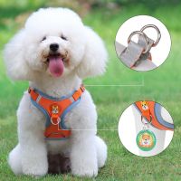 TEXPet Harness Dog Leash Pomeranian Puppy Cat Harness Vest Reflective Walking Lead Leash Adjustable Rope for Small Dogs Chihuahua