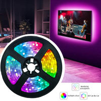 LED Strip Lights RGB 2835 Color Bluetooth USB IR Remote Flexible Lamp Tape Diode DC5V Backlights Night Lighting led 5M