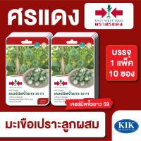 ผักซอง ศรแดง มะเขือคางกบ เคอร์มิตขั้วยาว F1 บรรจุแพ็คล่ะ 10 ซอง ราคา 230 บาท