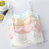 【Ready Stock】 ❈✑ C22 12-16 Years Girls Bra nage Kids Underwear Childrens Bra Include Sponge Pad