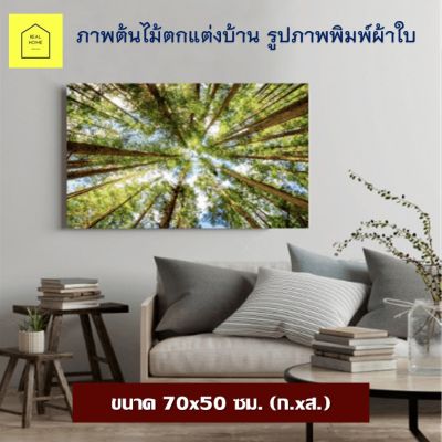 REAL HOME ภาพติดผนัง ภาพตกแต่ง ภาพต้นไม้ ขนาด 70x50 ซม.(ก.xส.) ภาพพิมพ์ ของแต่งบ้าน กรอบรูปติดผนัง รูปภาพติดผนัง ตกแต่งบ้าน กรอบรูป ภาพแขวน