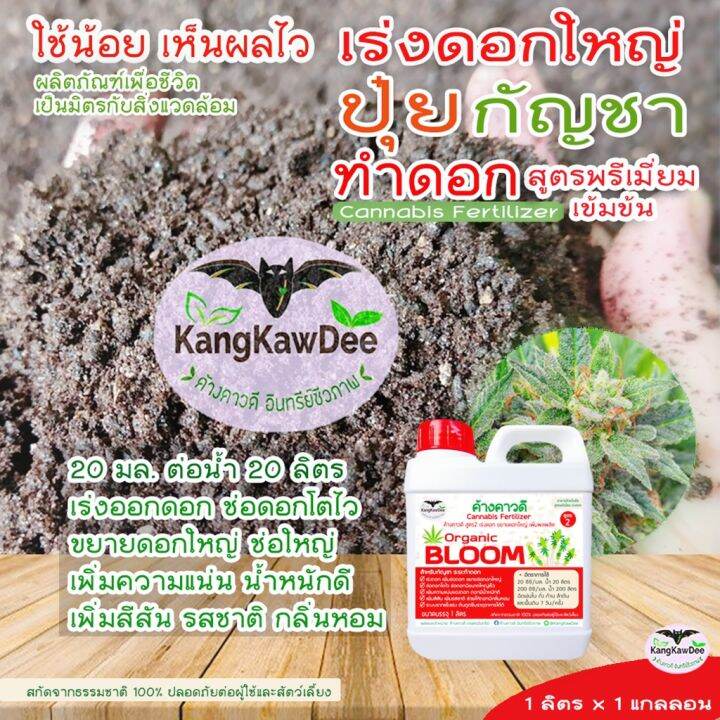 ปุ๋ยกัญ-ระยะทำดอก-เร่งดอกโตไว-ขยายดอกใหญ่-ช่อดอกแน่น-ดอกสมบูรณ์-ค้างคาวดี-สูตร2-เพิ่มน้ำหนัก-เพิ่มสีสัน-เพิ่มรสชาติและกลิ่นหอม