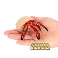 Animal Kingdom - โมเดล Hermit Crab ปูเสฉวน ขาแดง ขนาด 10.80 CM (จากสงขลา)