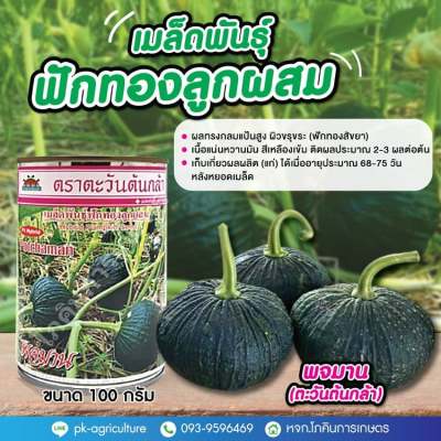 เมล็ดพันธุ์ฟักทองพจมาน (ตะวันต้นกล้า) ขนาด 100 กรัม