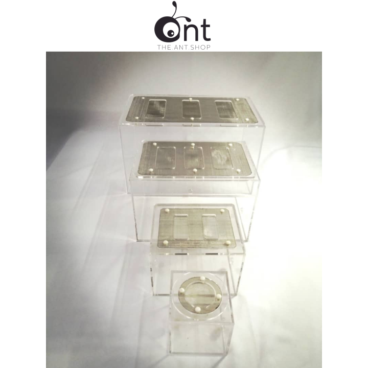 Fully Enclosed Outworld - Ant Farm Ant Keeping Ant Cages Ant ...