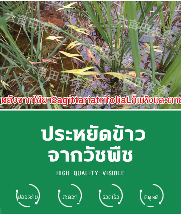 ไม่ทำร้ายข้าว-ยาคุมหญ้าข้าว-คุมฆ่าในนาข้าว-ยาคุมหญ้าข้าว-เข้มข้นสุดๆ-10g-ประหยัดข้าวจากวัชพืช-เห็นผลรวดเร็ว-ระยะเวลานาน-1ชุด-ผสมน้ำ60catties-วัชพืชในนาข้าวต่างๆ-หญ้าข้าวนก-หญ้าหูหนู-สารกำจัดวัชพืช-คุม