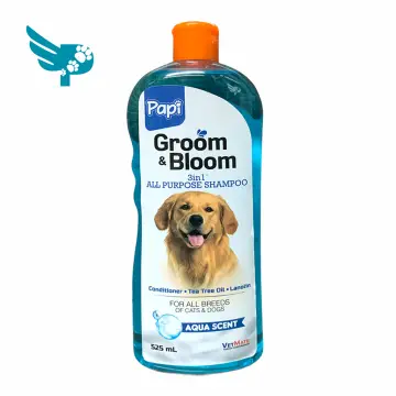 Dematting store dog shampoo