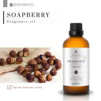 PARFUMSCENT หัวน้ำหอม Soapberry Fragrance Oil FOP5078120