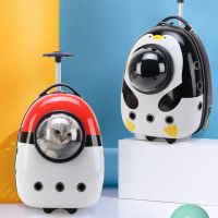 ❂○✚ Pet Trolley Bag Cat Backpack Transparent Window Universal Wheel Dog Trolley Convenient Pet Carrier Backpack with Adujstable Belt