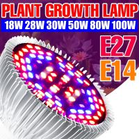 LED Grow Bulbs E27 Plant Light 220V Full Spectrum Phytolamps E14 Hydroponic Fitolampy 18W 28W 30W 50W 80W 100W Indoor Seeds Lamp