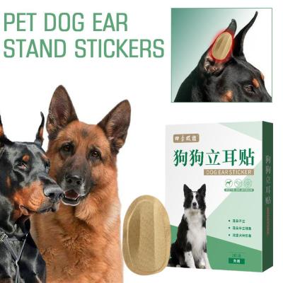 Pet Dog Ear Stick Large And Small Dog Auxiliary Ear Stick Dog Ear Stick Correction H1D7