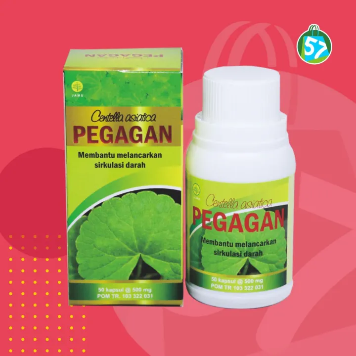 Kapsul Ekstrak Pegagan Original Herbal Isi 60 Kapsul Herbal Nutrisi