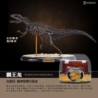 The dinosaur skeleton model assembled tyrannosaurus rex dinosaur bones museum simulation animal gifts for children educational toys