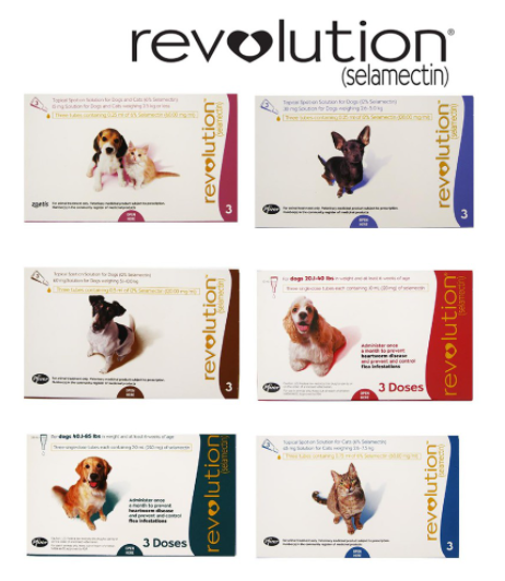 Revolution for Dogs,Cats and Rabbits | Lazada Singapore