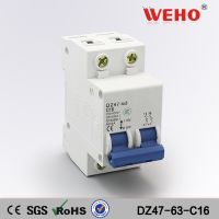 Dz47-63-c16 16a Al Mini Type 2 Poles Number Electronic Mcb Miniature Circuit Breaker