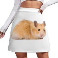 【CC】☁☇  Hamster Skirt fashion korean style dress