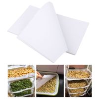100Pcs Soilless Cultivation Nursery Paper for Tray Pots Sprout Plate Seedling Germination Growing Vegetable Microgreens Planting