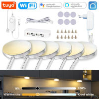 Tuya wifi RF Remote Control Under Cabinet LED Light CCT Light Warm White Double Color Temperature for Kitchen Closet Lighting