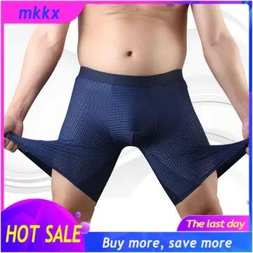 Sexy Mens Mesh Hole Underwear Man Boxers Short Underpants Plus Size Panties