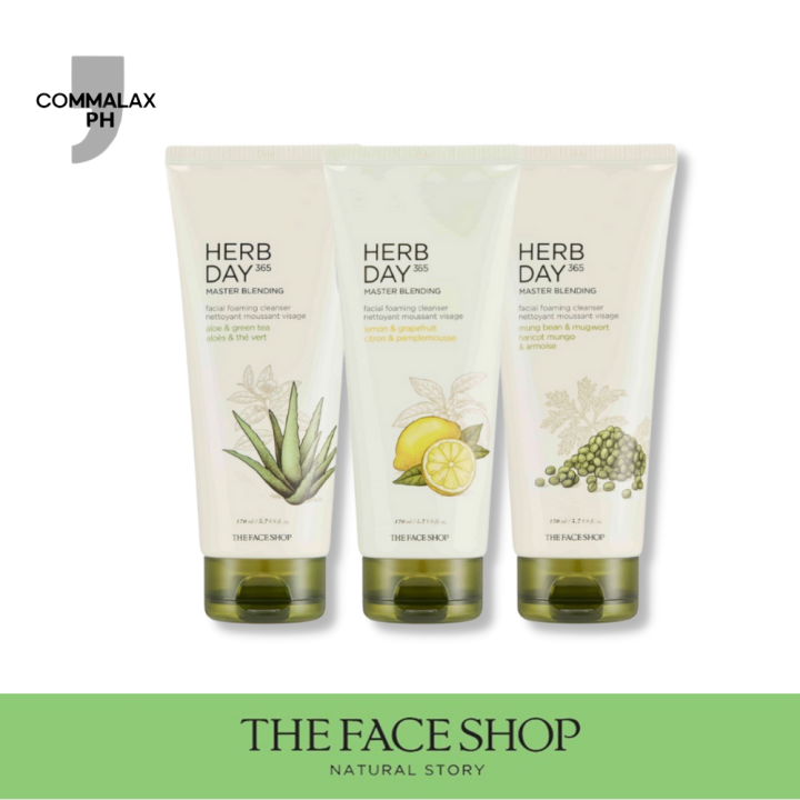 THE FACE SHOP Herb Day 365 Master Blending Foaming Cleanser 170ml