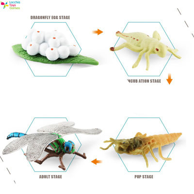 Lt【สต๊อกพร้อม】ของเล่นโมเดลสัตว์จำลองแมลงหอยทากตั๊กแตนแมลงปอตัวของเล่นเพื่อการศึกษาแอคชั่นสำหรับเด็ก【cod】