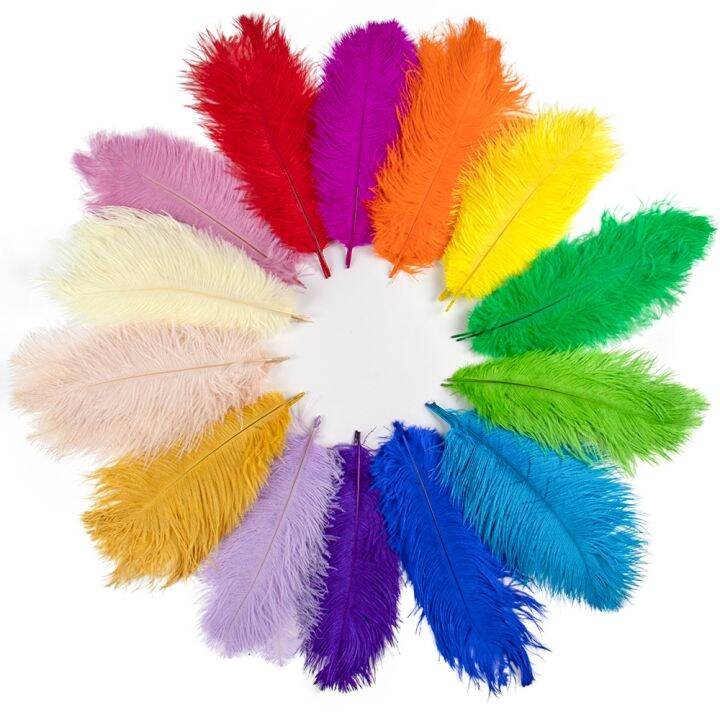 10pcs-colored-feathers-15-60cm-for-crafts-wedding-table-fluffy-plumas-accessories-bulk