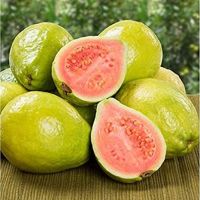 เมล็ดฝรั่ง - pink Guava 100% heirloom - psidium guajava seeds