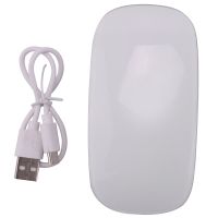 Bluetooth Wireless Magic Mouse Silent Rechargeable Computer Mouse Slim Ergonomic PC Mice for Apple Macbook