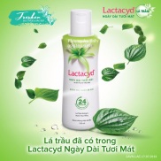 Dung dịch vệ sinh phụ nữ Lactacyd lá trầu không 250ml