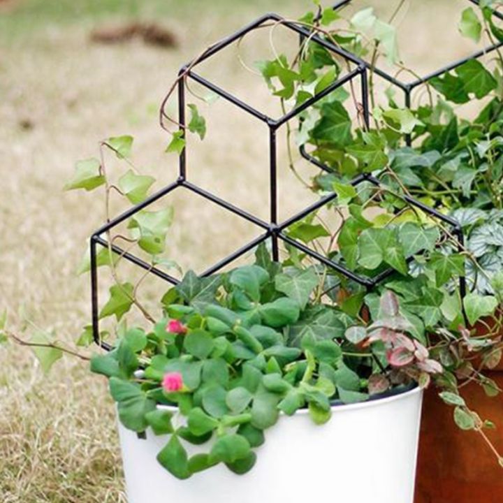 lattice-shaped-plant-trellis-for-diy-potted-climbing-plants-support-flower-vegetables-rose-vine-pea-ivy-cucumbers-iron-metal