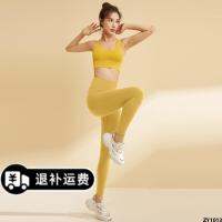 ชุดกางเกงยาวกันกระแทก ] Yoga Zheng Exclusive Slim Boss Sports [ หลังสวย LULU