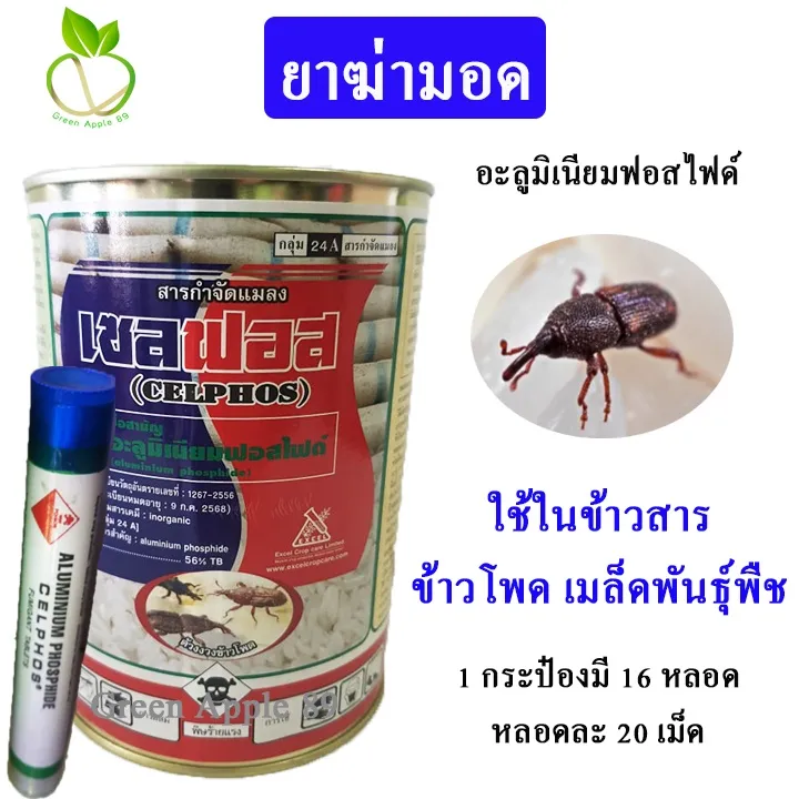 ด่วน อะลูมิเนียมฟอสไฟด์ เนื้ออินเดียว 1 กระป๋องมี 16 หลอด ยาอบมอด ยาพ่นกำจัด มอด ยาฆ่ามอด ยากำจัดมอด กำจัดมอด ฆ่ามอด | Lazada.co.th ด่วน อะลูมิเนียมฟอสไฟด์ เนื้ออินเดียว 1 กระป๋องมี 16 หลอด ยาอบมอด ยาพ่นกำจัด มอด ยาฆ่ามอด ยากำจัดมอด กำจัดมอด ฆ่ามอด | Lazada.Co.Th