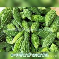 ชามะระขี้นก100กรัม มะระขี้นก ลดเบาหวาน มพระออแกนิค flashsale ลดกระหน่ำ