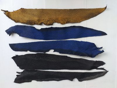 หนังปลากระเบนแท้ (stingray leather scraps) หลายสี ใช้ทำเครื่องหนัง น้ำหนัก 74 กรัม  SK669